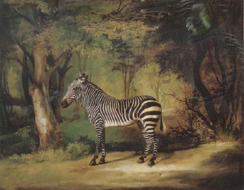 George Stubbs Horse Germany oil painting art